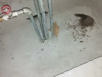 丽江市卫生间测漏水价格明细